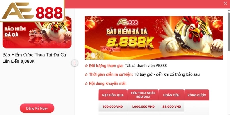 Điều kiện cần thiết để nhận bảo hiểm cược thua tại đá gà