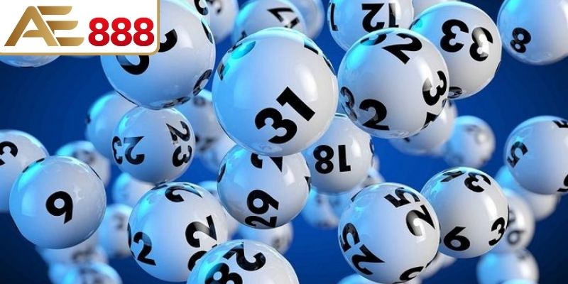 Các dạng bao lô được nhiều người chọn